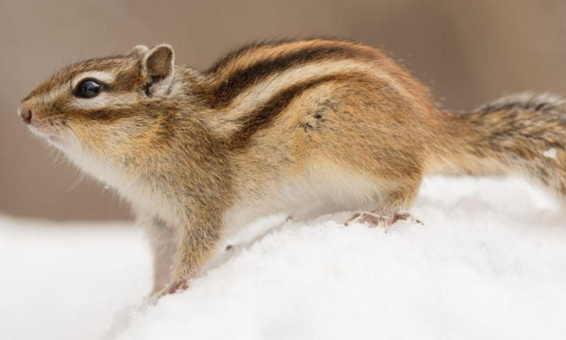 上海泽宇智能科技有限公司轮播图3